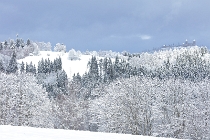 SumavaCervenaUnor2026 - 035